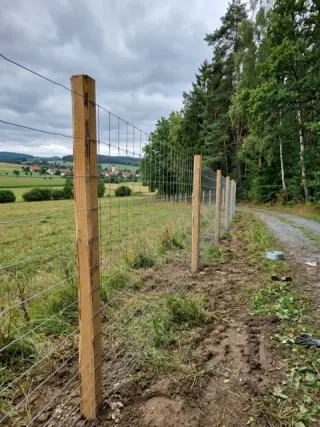 Wildzaun in Münster - fachgerechte Ausführung vor Ort